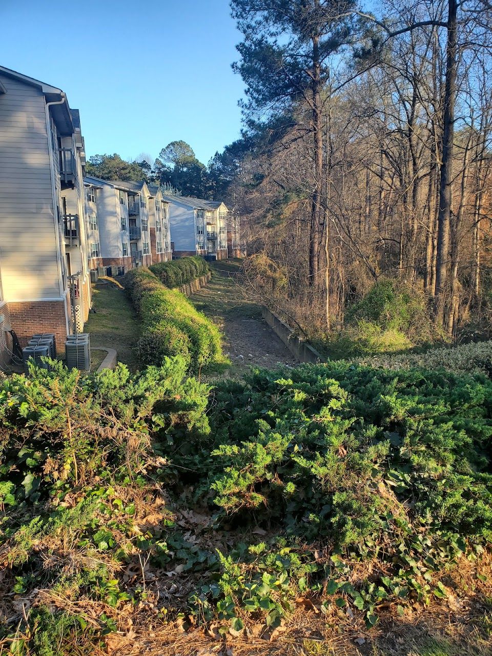 Tanglewood Park Apartments