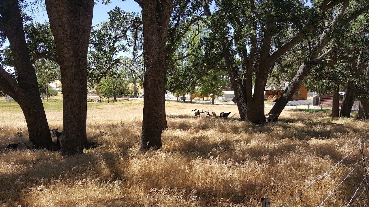 Tehachapi Senior Manor I