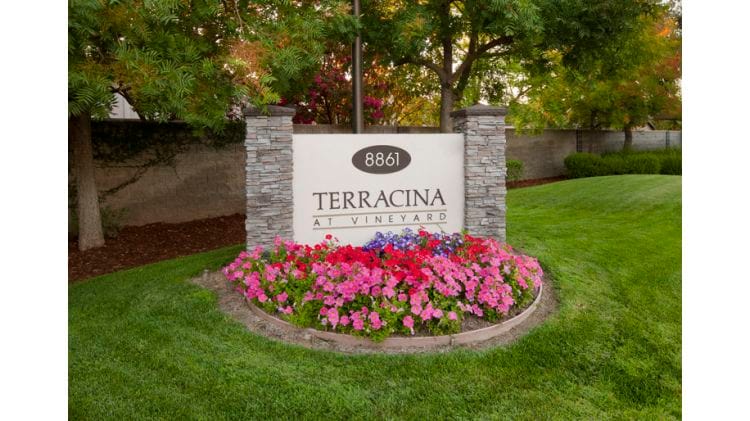 Terracina At Vineyard