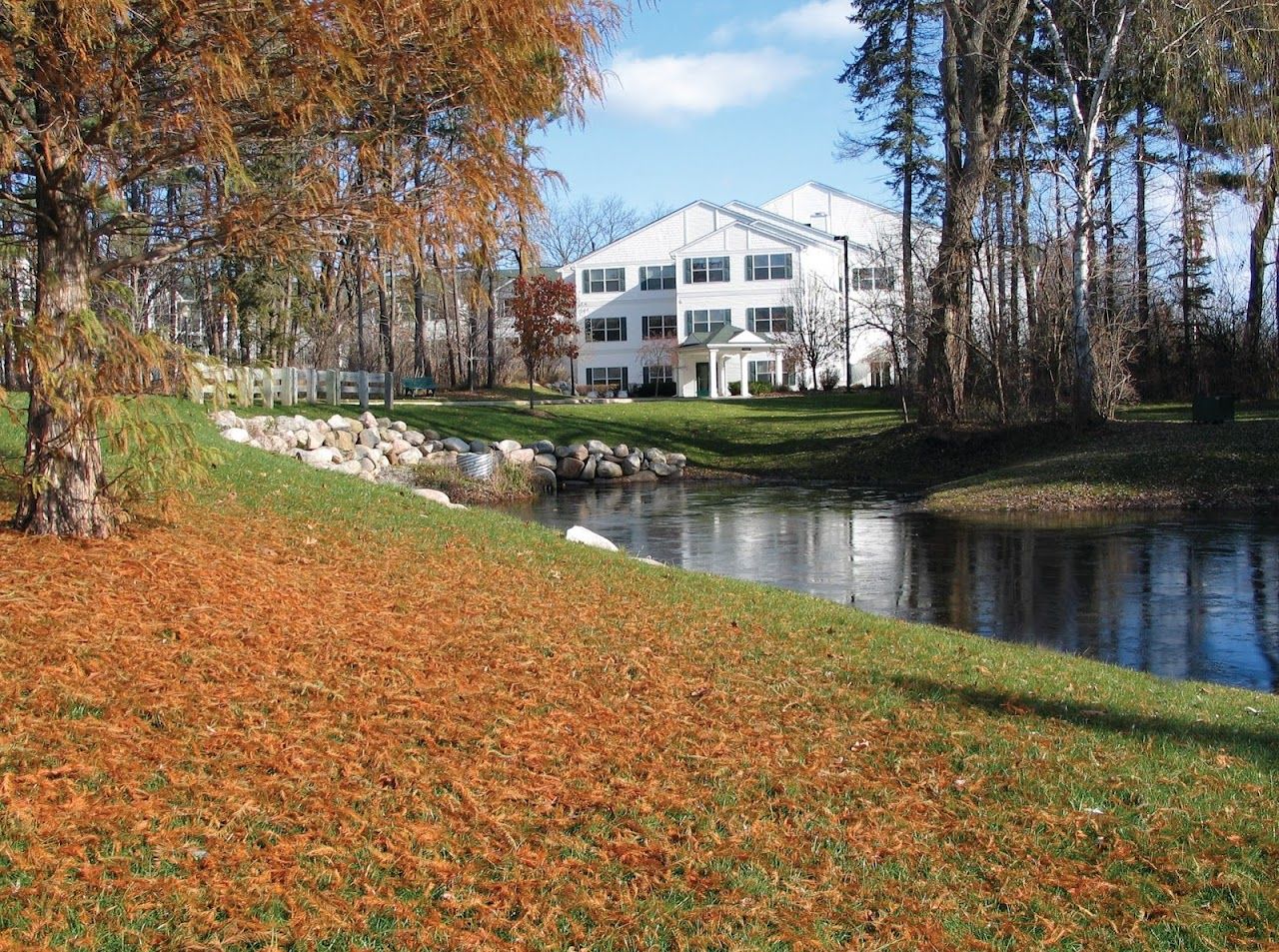 The Pines