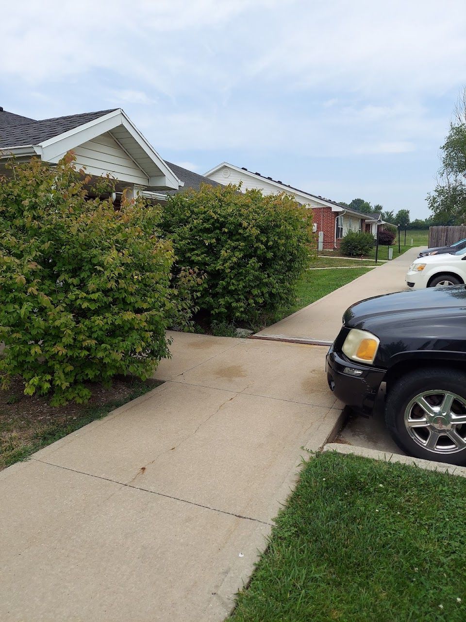 Trenton Village Apts