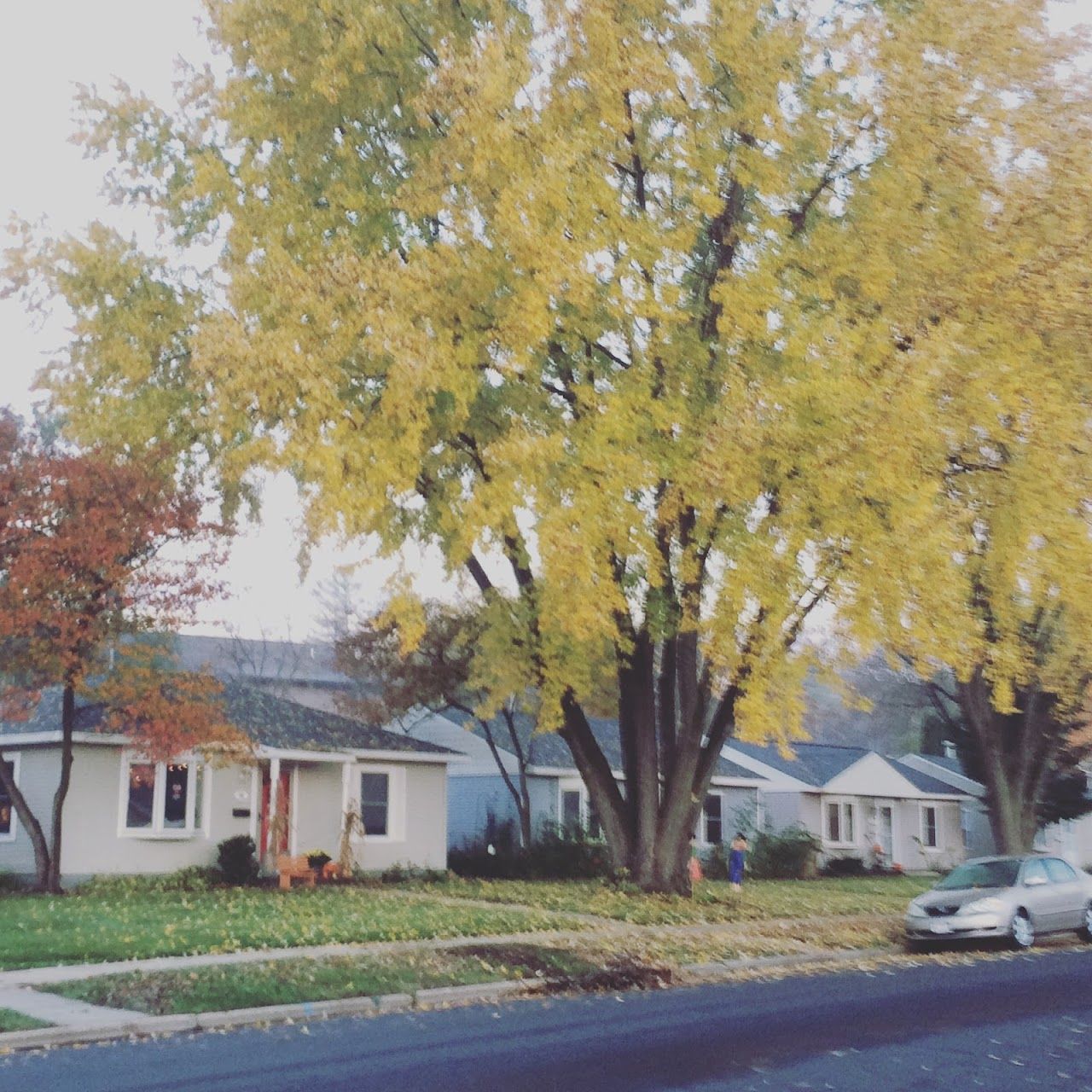 Trillium Homes