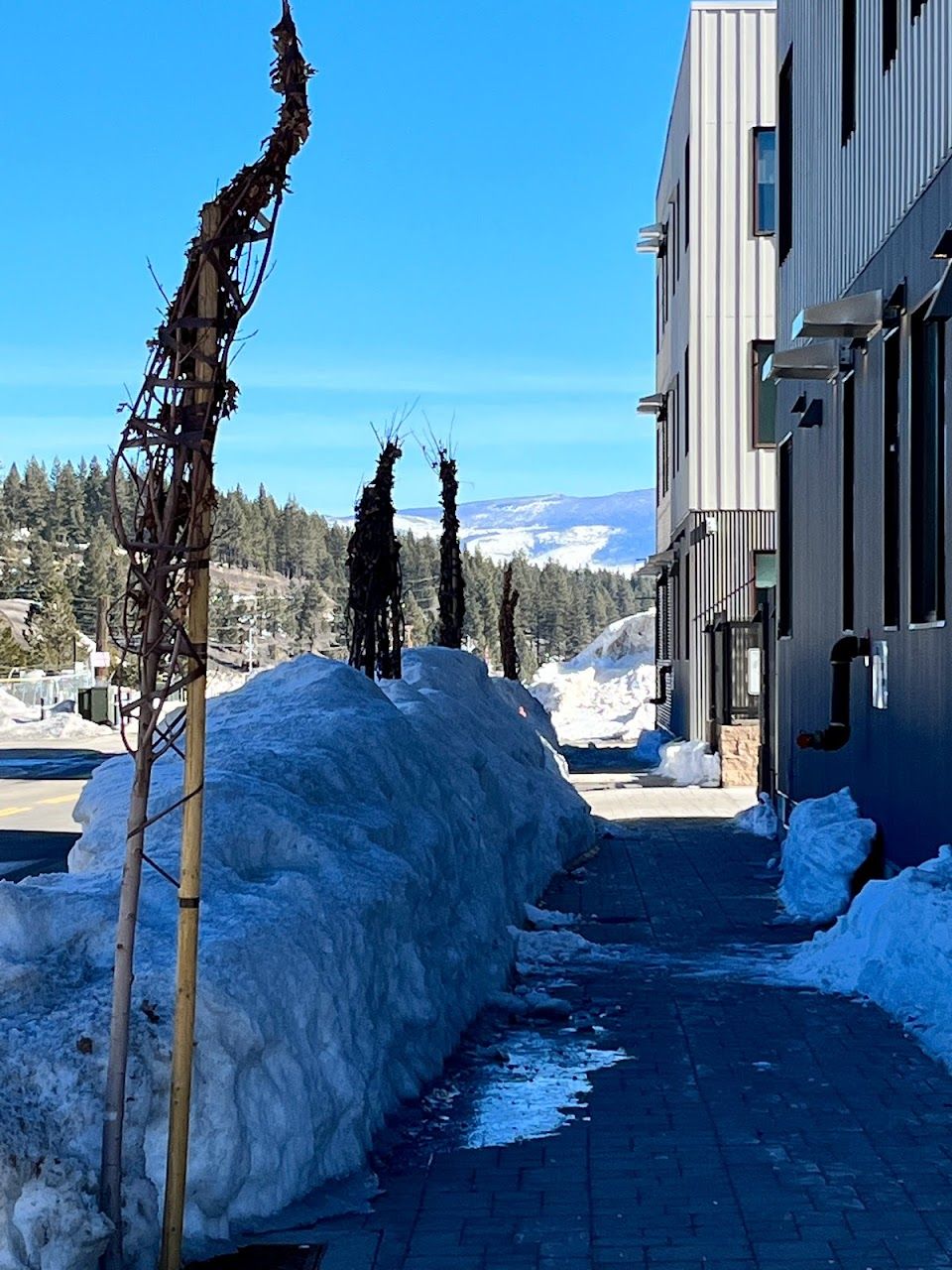 Truckee Artist Lofts