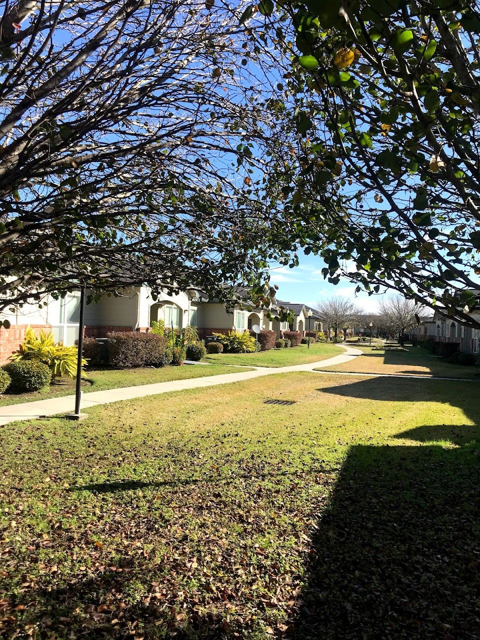 Village On Hobbs Road