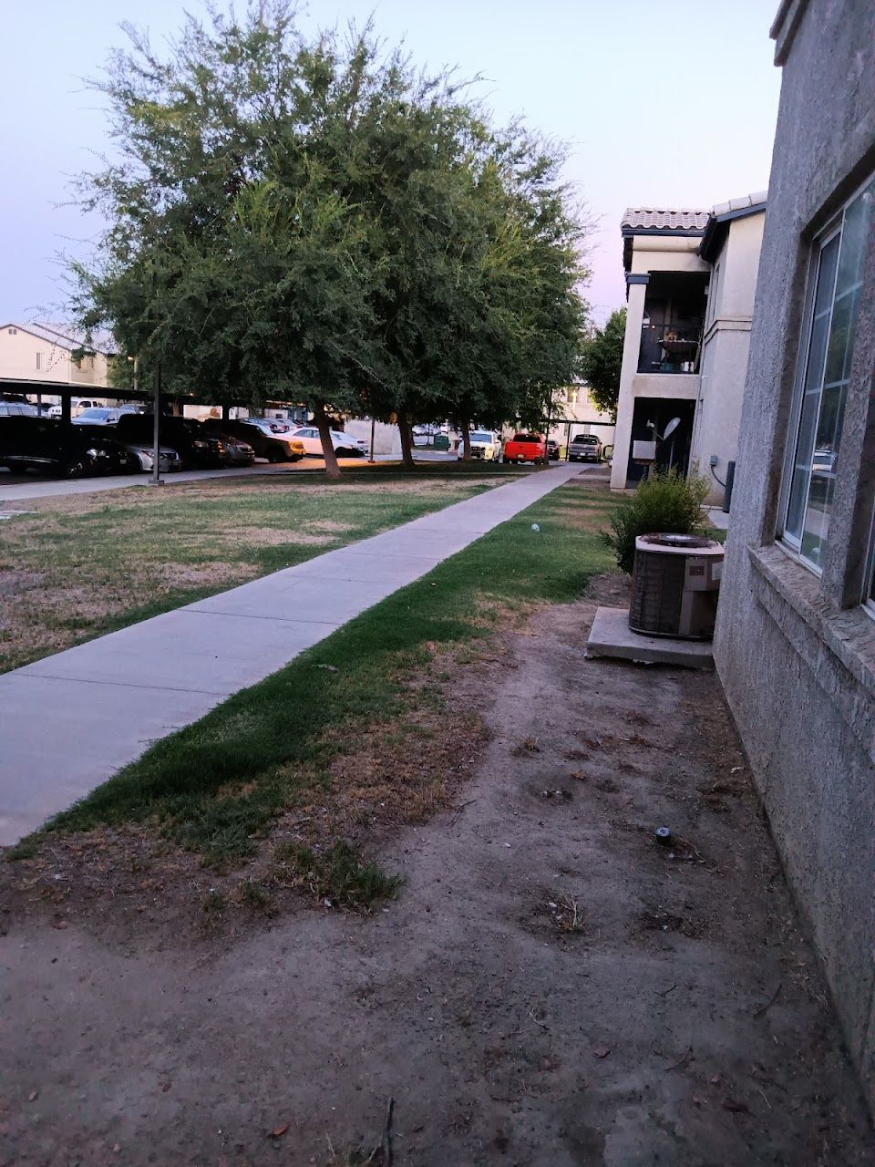Vineyard Apts