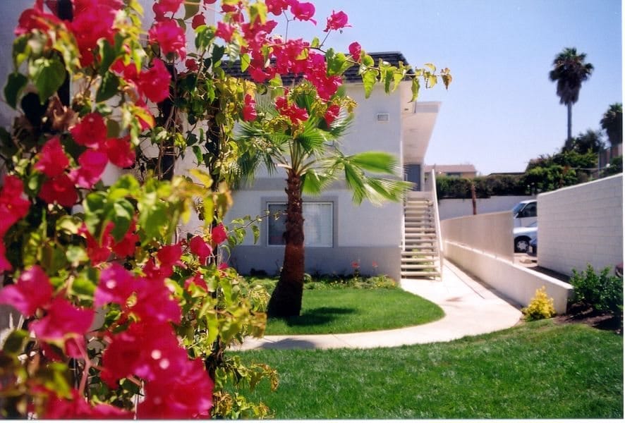 Vista Del Sol
