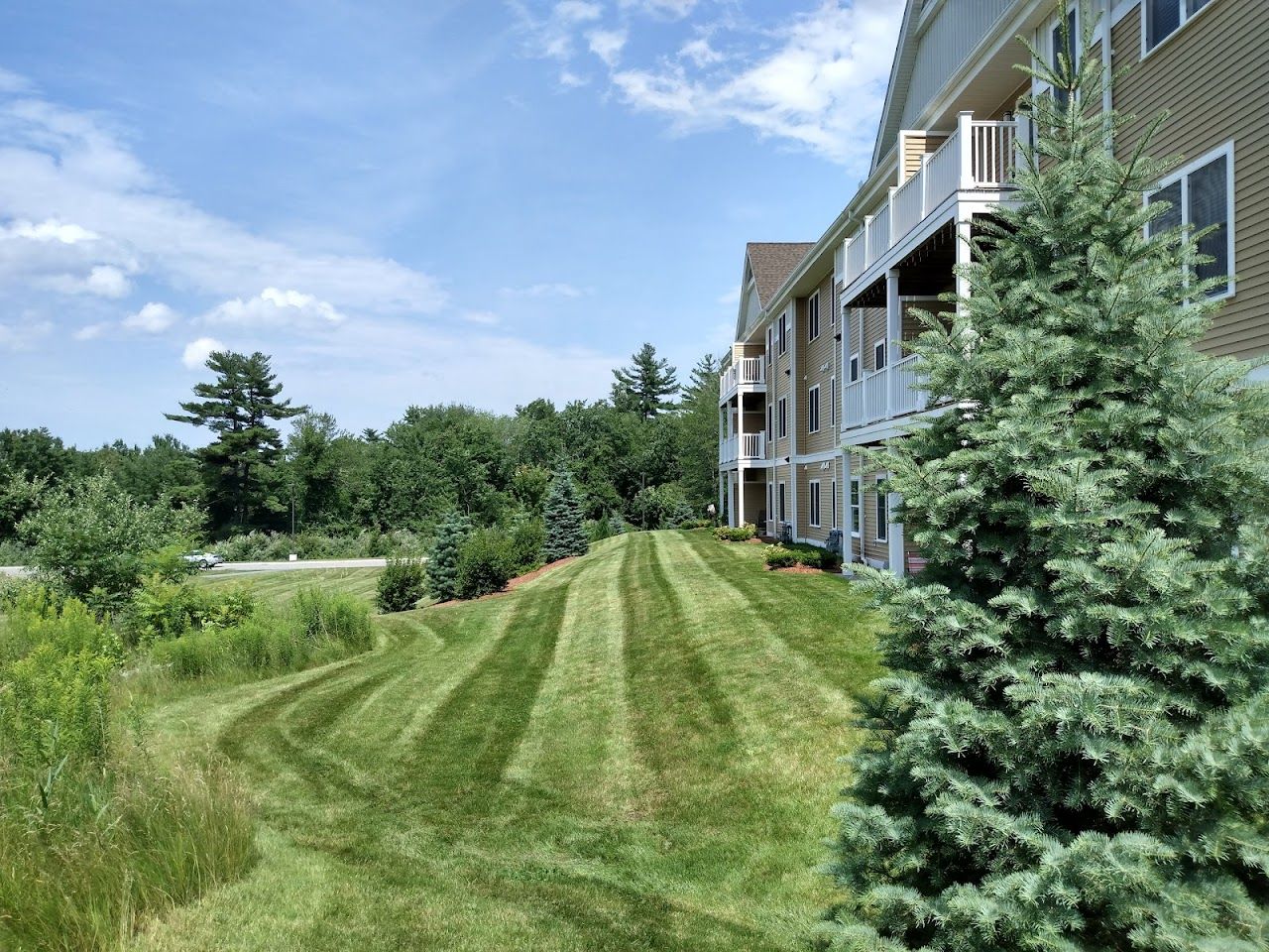 Wallace Farm Phase Ii