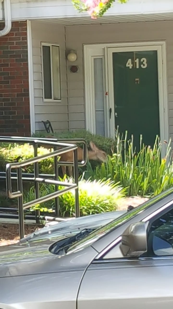 Walnut Grove Apts