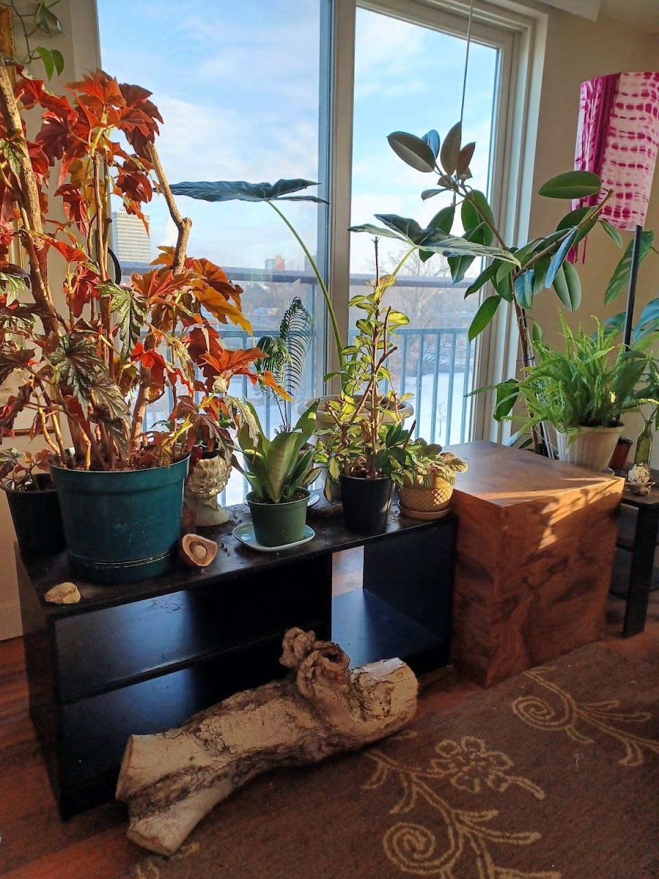 Wedgepoint Apartments