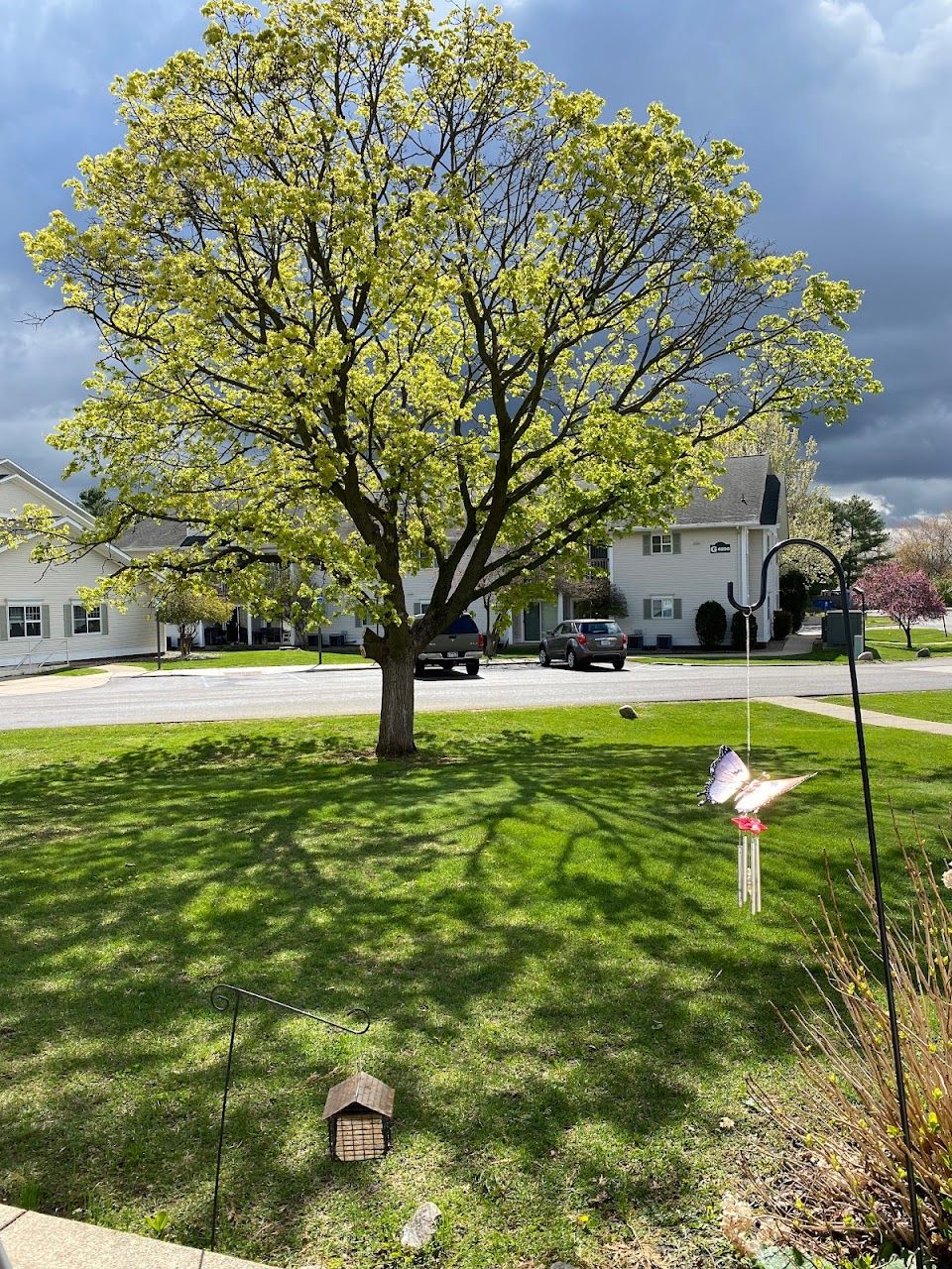 Westland Meadows Apts