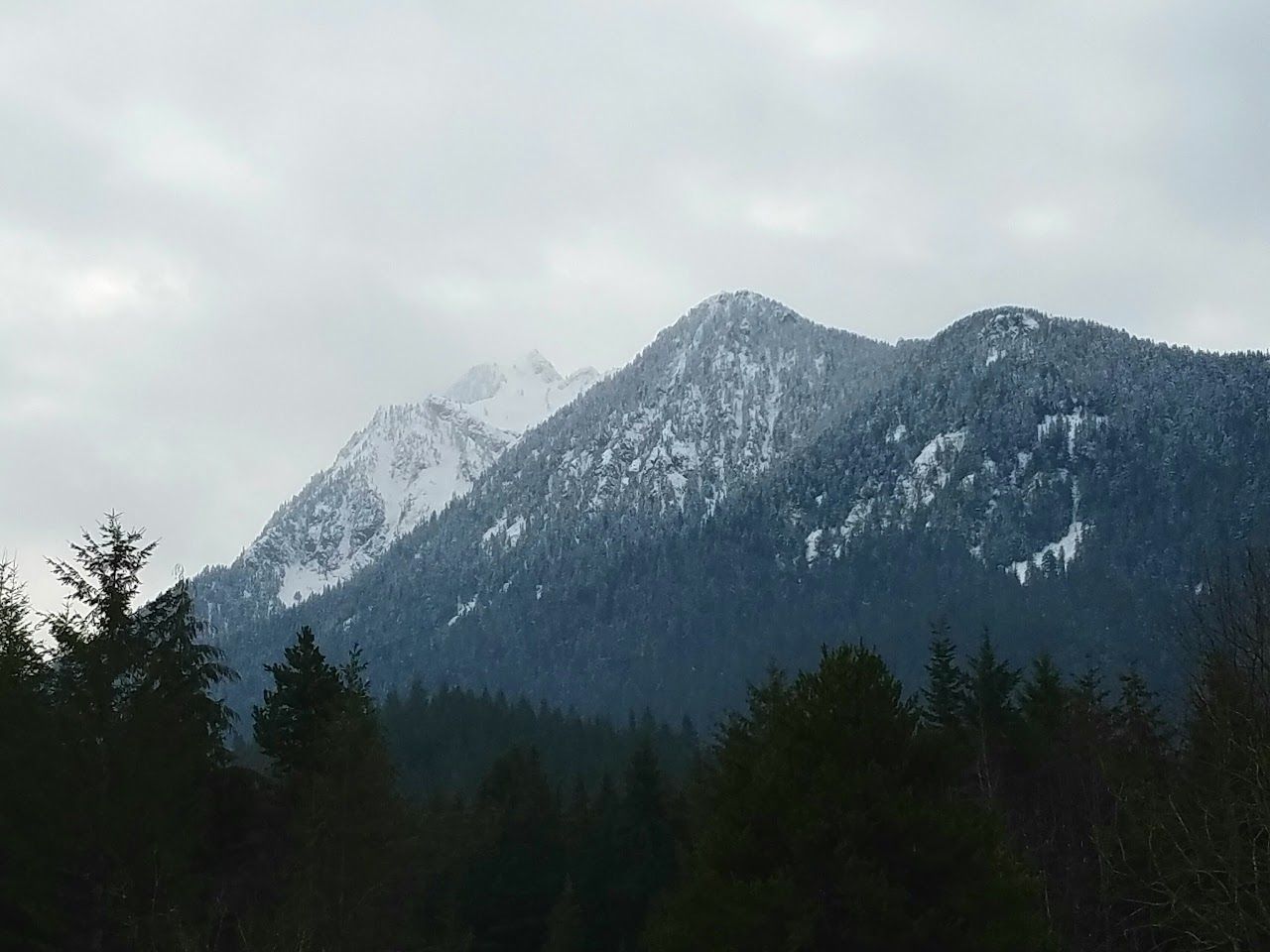 Whitehorse Apartments