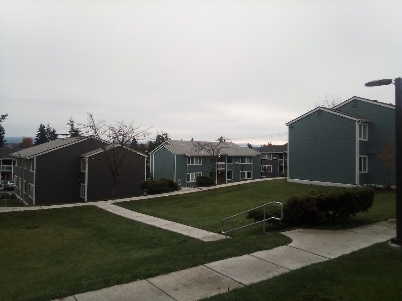 Wiggums Park Place