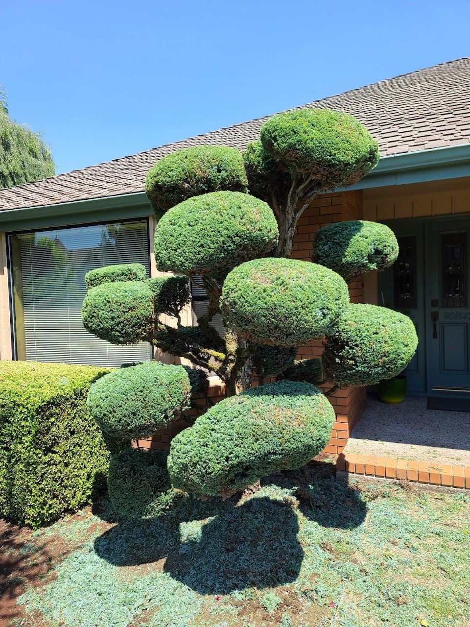 Willakenzie Townhouses
