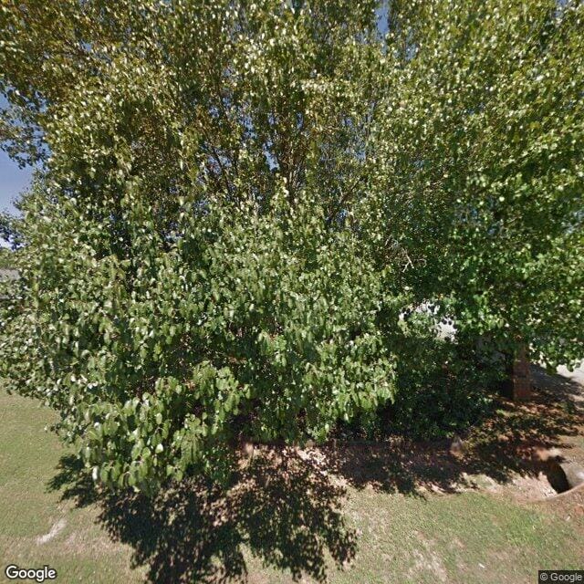 Willow Bend Apts
