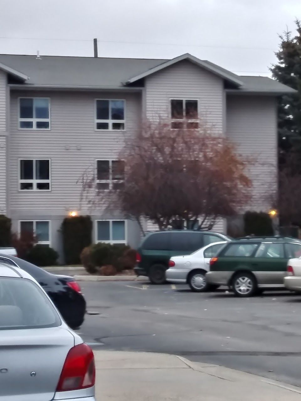 Willow Court