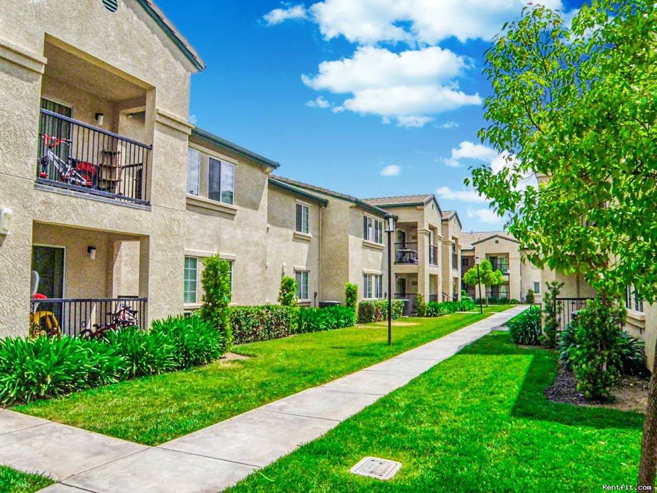 Willows (Clovis)
