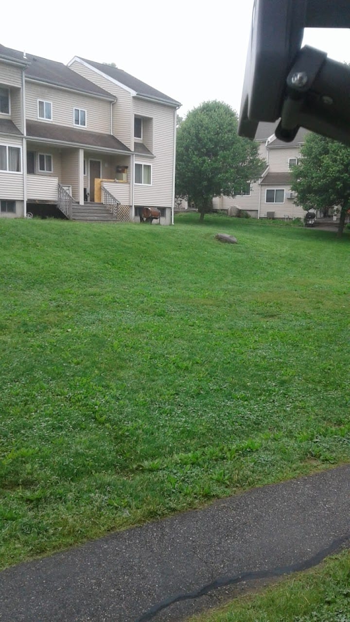 Woodland Hills Apts