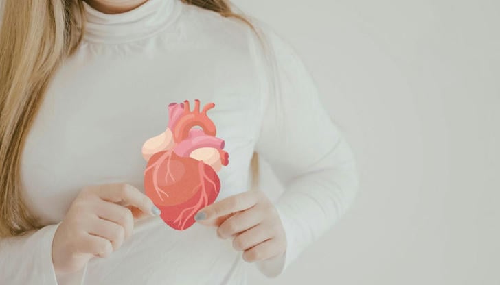 Which organ is primarily responsible for pumping blood through the body?