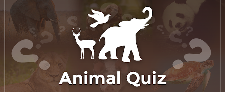 90% of People Fail This Wild Animal IQ Test. Are You a Nature Expert?