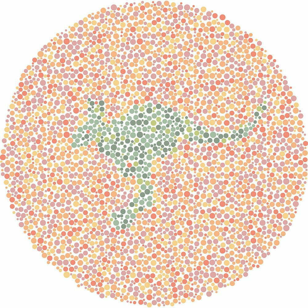 What animal do you see?