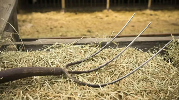 Can you name this gardening tool?