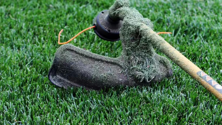 Can you name this gardening tool?