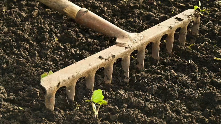 Can you name this gardening tool?
