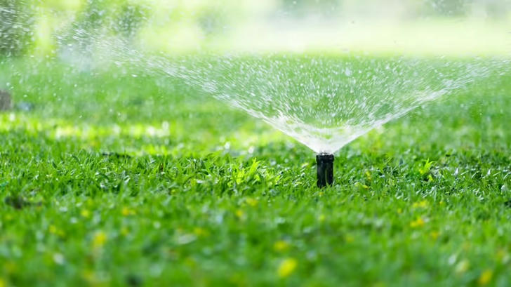 Can you name this gardening tool?