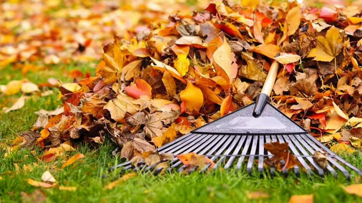 Can you name this gardening tool?