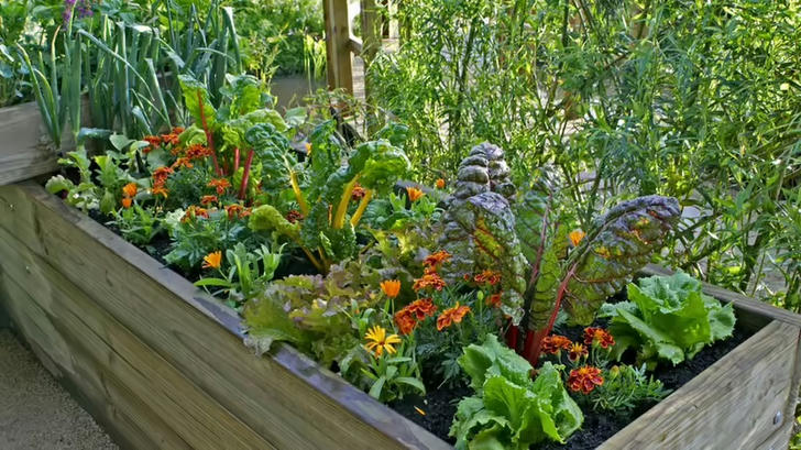 Can you name this gardening tool?