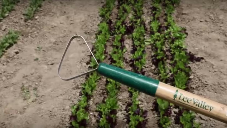 Can you name this gardening tool?