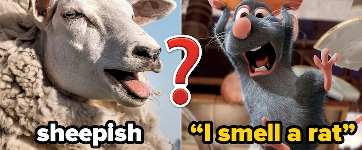 Can You Pass Our Impossible English Test?