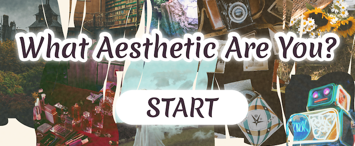 Find Your Aesthetic Identity