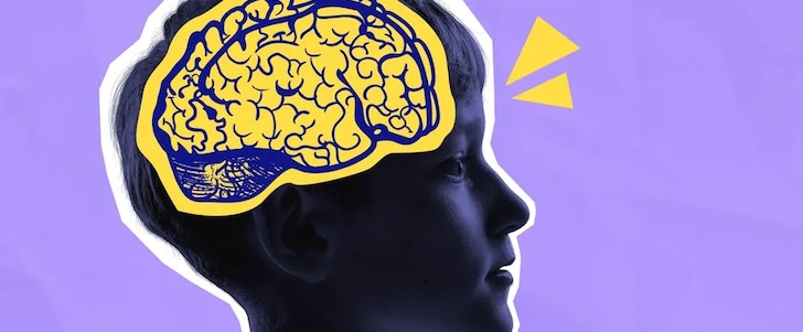 How Does Your Brain Really Work?