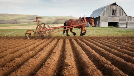 What problem does a chisel plow mainly fix?