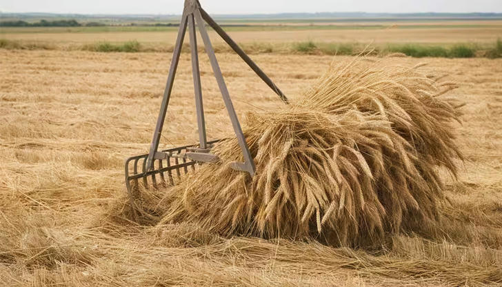 What is the main use of a hay rake?