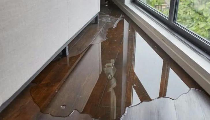 Which behavior is most likely to damage wood surfaces?