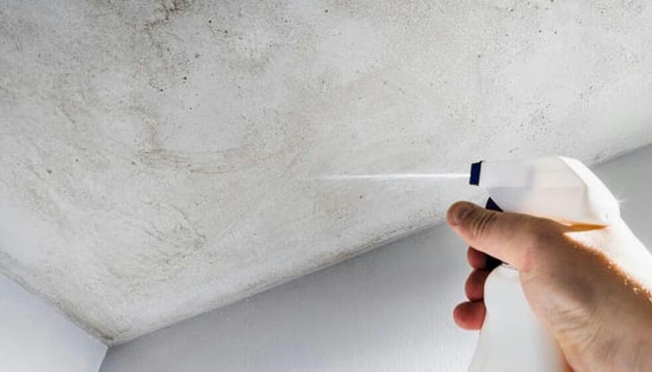 Which habit prevents bathroom mold from being truly removed?