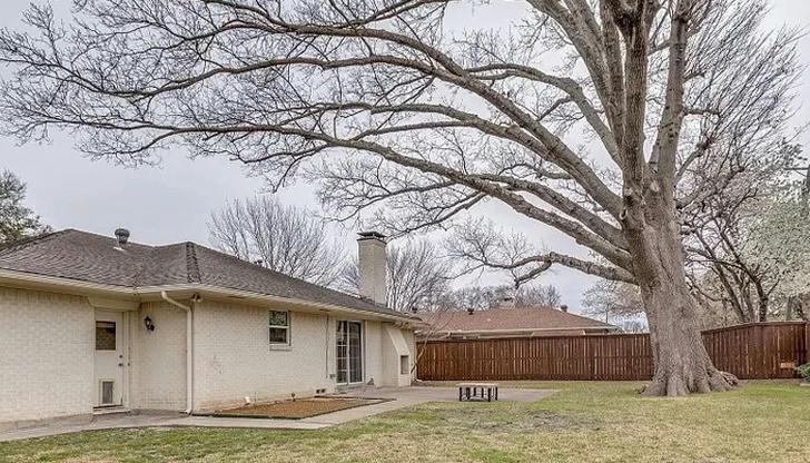Which tree situation poses the HIGHEST risk?