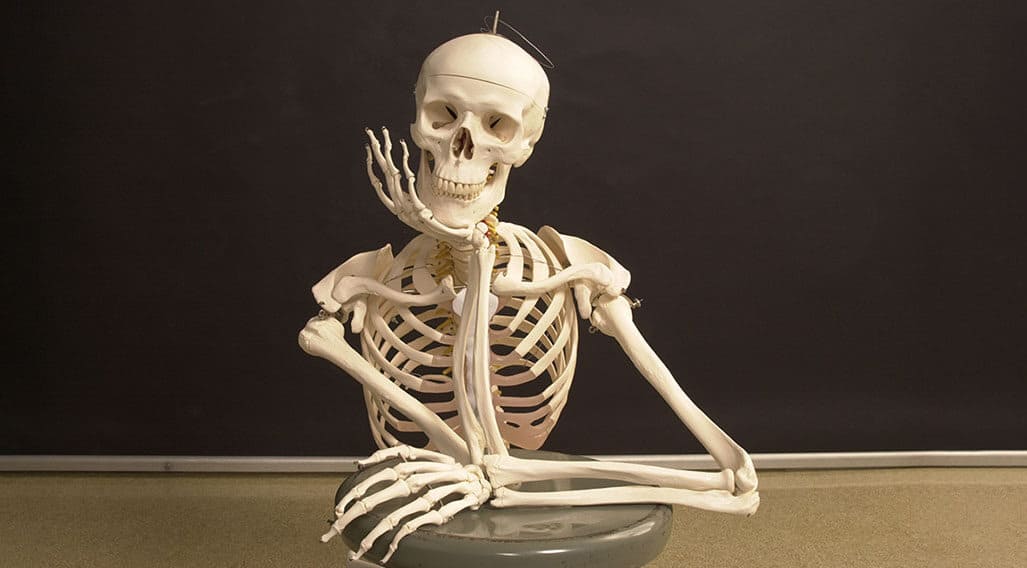 Which of the following is NOT a bone?