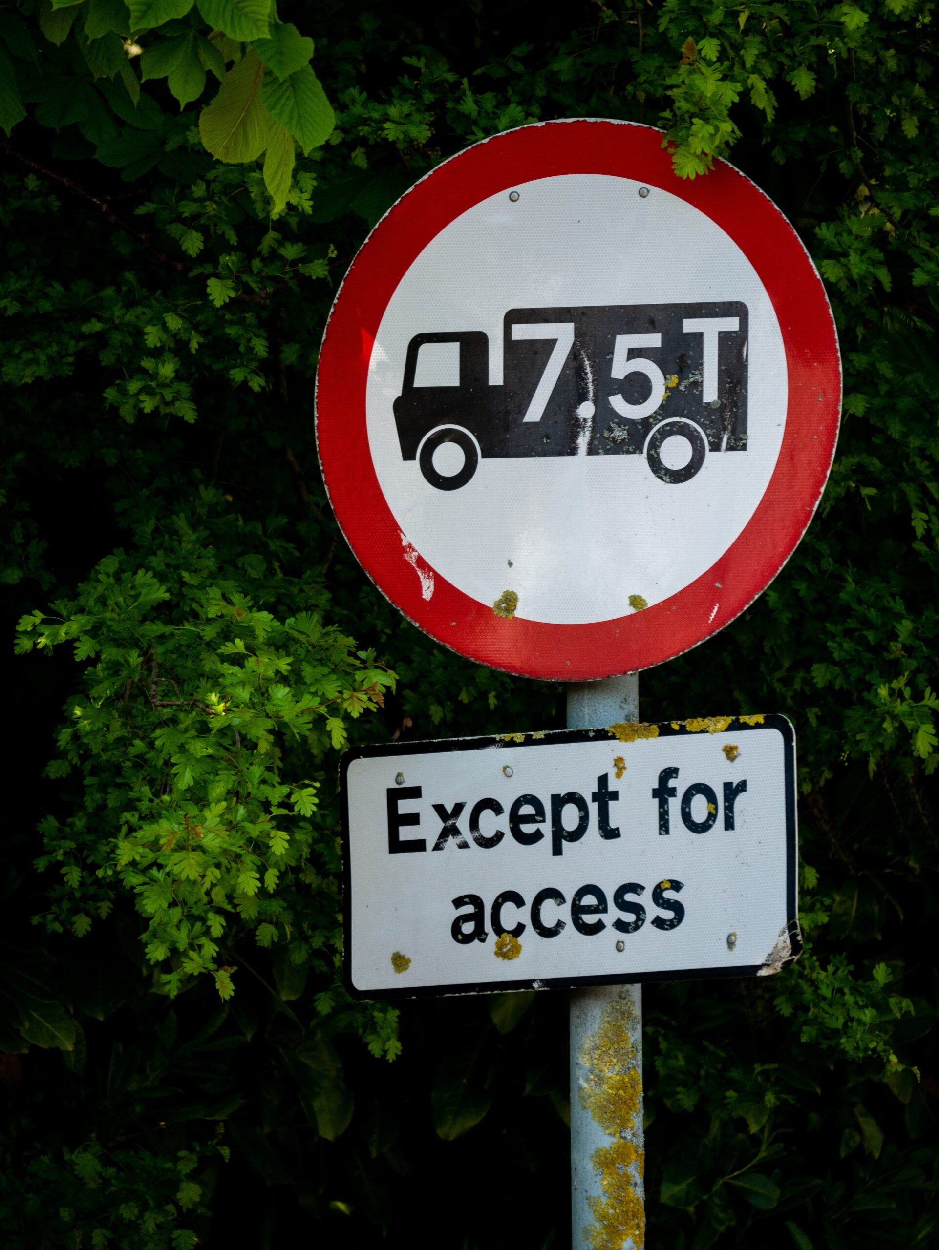 What kind of sign is this?