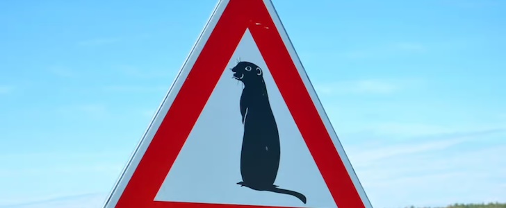 Road Signs Test