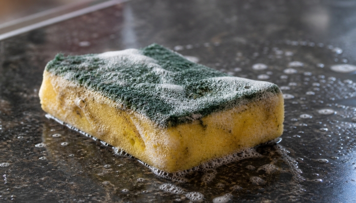 How can you quickly sanitize a wet kitchen sponge to kill 99% of bacteria?