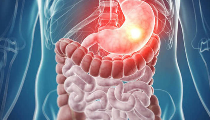 Which branch of medicine focuses on the digestive system?