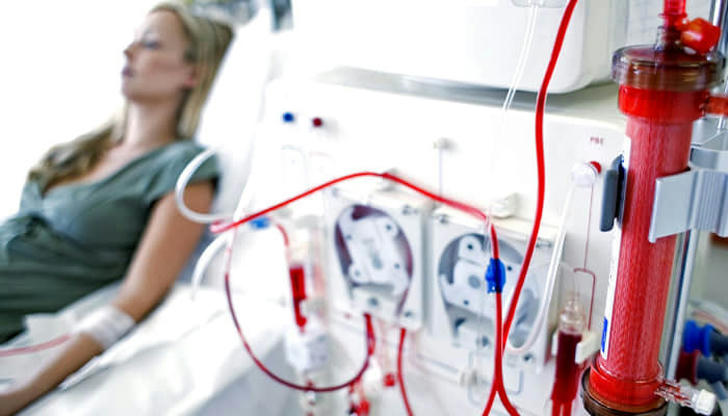 What is the main function of 'Dialysis' in healthcare?