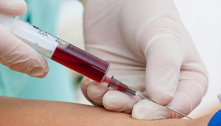 What does 'hematology' focus on?