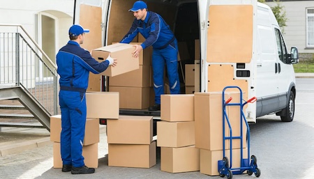 Think You Can Move Without Help? Take This Quiz