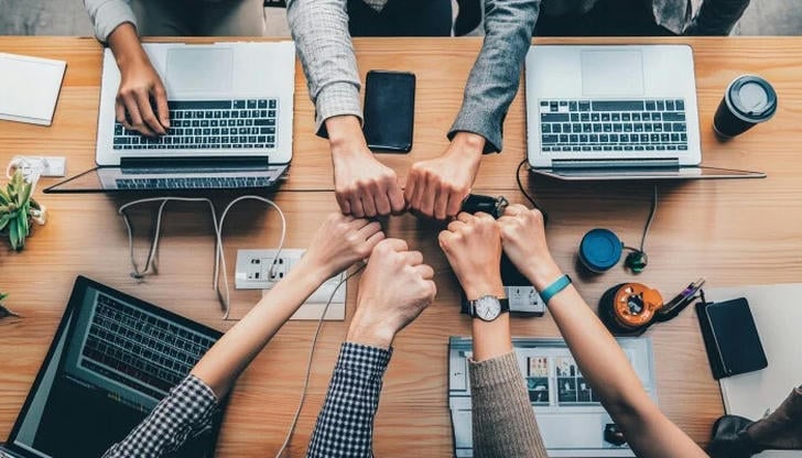 How do you usually work in a team?