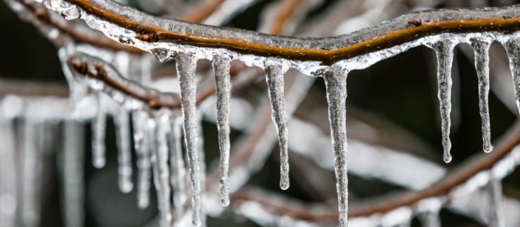 What is the freezing point of water in Celsius?
