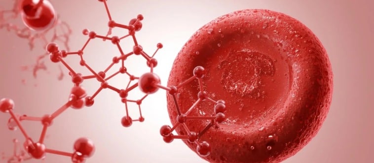 What metal is found in hemoglobin?